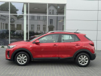 Kia Stonic M 1.2 84 KM/benzyna/grzane fotele/kamera cofania/gwarancja Toruń - zdjęcie 2