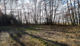 Działka na sprzedaż Strykowo Strykowo - zdjęcie 12