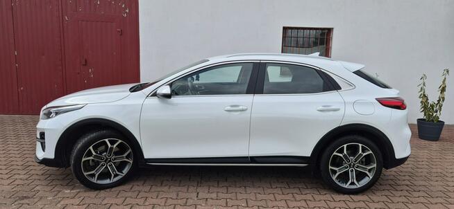 Kia XCeed KAMERA-HAK-LED-MEDIA Paproć - zdjęcie 5