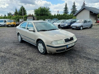 Skoda Octavia 1.9TDi 110km 05r