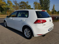 Volkswagen Golf 1,4 Turbo Benzyna Climatronic Zarejestrowany Gwarancja Włocławek - zdjęcie 7