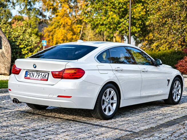 BMW 420 Sadlno - zdjęcie 6