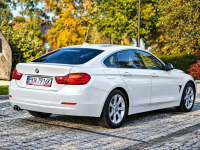 BMW 420 Sadlno - zdjęcie 6