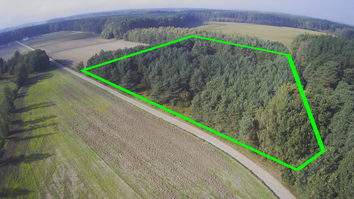 Okazja - Działka z prywatnym lasem | Wydane WZ Nowa Róża - zdjęcie 1