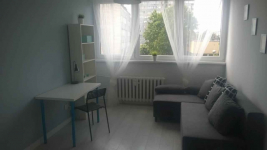 3pok, 52met, Okolice Kruszwickiej ROZKŁAD/PIWNICA/WINDA (Wrocław)