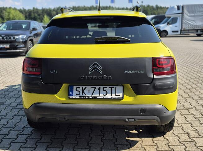 C4 Cactus  - Bezwypadkowy - Polska - Nawigacja Studzienice - zdjęcie 6