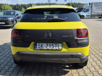 C4 Cactus  - Bezwypadkowy - Polska - Nawigacja Studzienice - zdjęcie 6