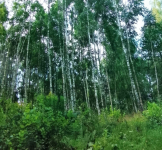 Ziemię na Warmii i Mazurach sprzedam