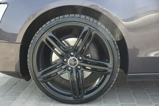 Audi A5 2.0B Automat/ Led/ Navi/ Oryginał Lakier/ Sprowadzony Majdan Sieniawski - zdjęcie 12