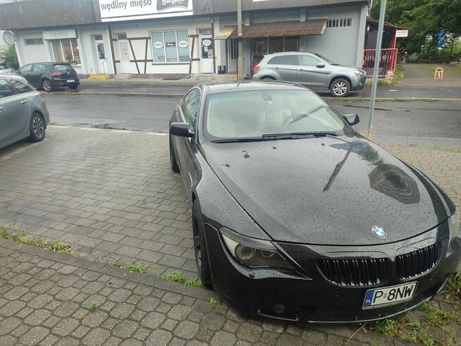 BMW E63 645Ci Poznań - zdjęcie 3