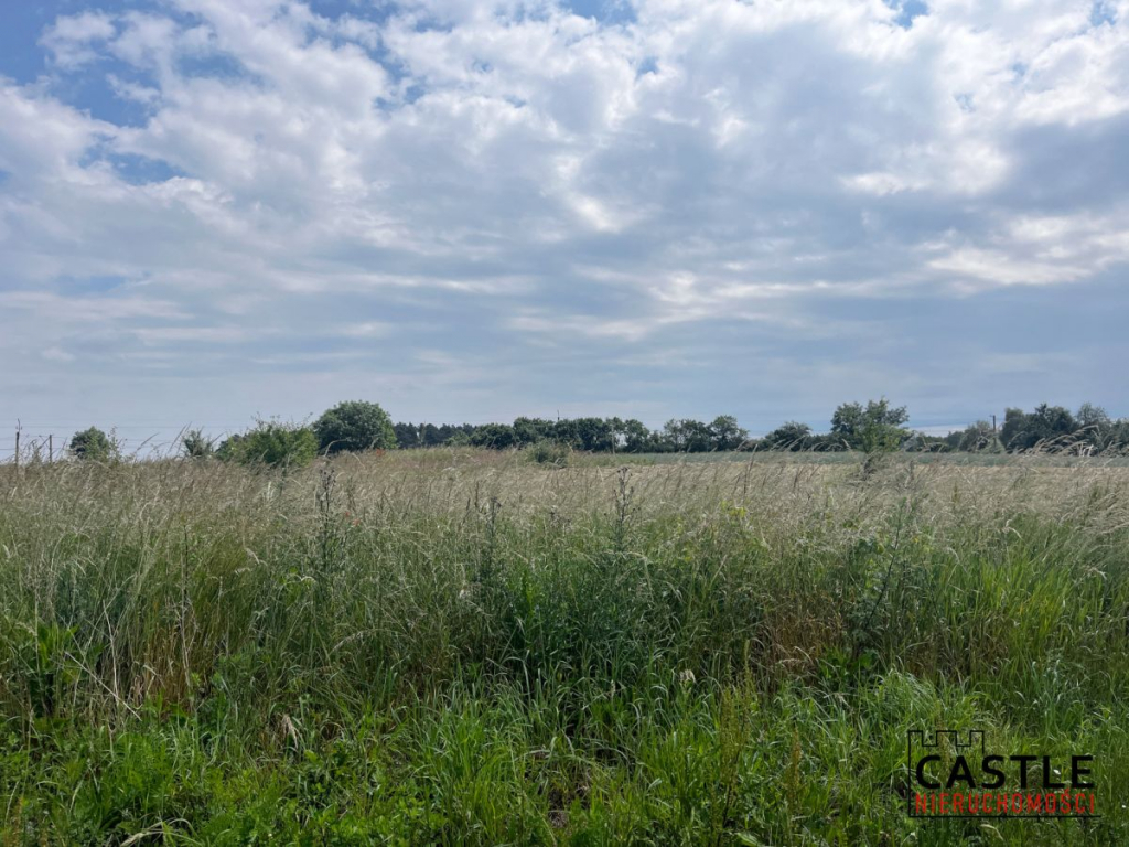 Działka na sprzedaż Golęczewo Golęczewo - zdjęcie 10