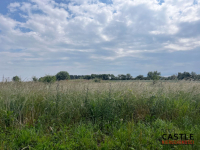 Działka na sprzedaż Golęczewo Golęczewo - zdjęcie 10