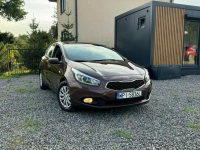 Kia Ceed 1.4 benzyna, piękny kolor, stan wzorowy. Gołków - zdjęcie 12