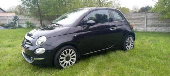 Fiat 500 Płońsk - zdjęcie 10