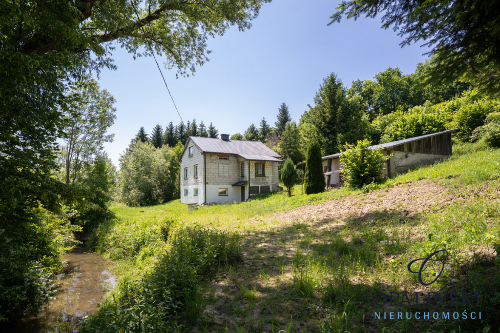 Dom do w otoczeniu zieleni do własnej aranżacji Przedmieście Dubieckie - zdjęcie 4
