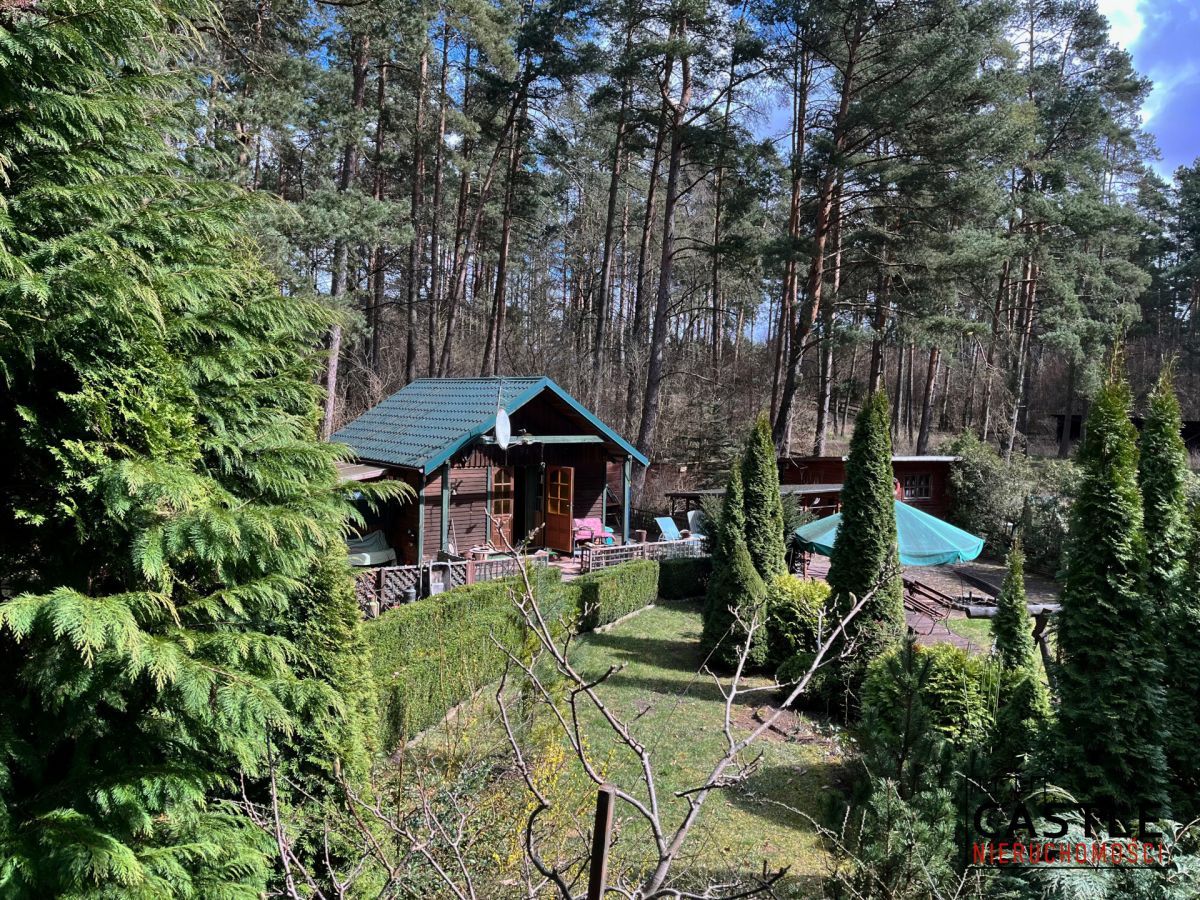 Borkowo | 4 pokoje | Las tuż za furtką Borkowo - zdjęcie 11