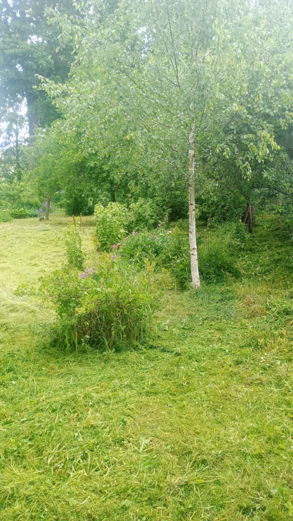 Działka 800m2 Darskowo - zdjęcie 4