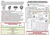 Prześliczny kocurek o rzadkim umaszczeniu Rodowód PZF/WCF Białystok - zdjęcie 12