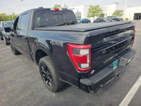 Ford F150 PLATINIUM / 4x4 / niski przebieg Białystok - zdjęcie 4