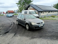 Volkswagen Golf 1.9TDI 105km 04r