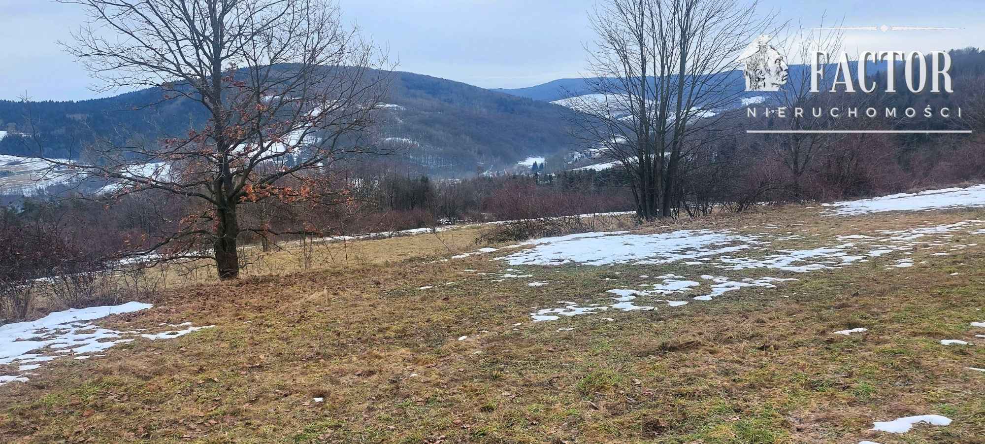 Działka budowlana 1,07 ha – Siary, gm. Sękowa 1170S/2026 Siary - zdjęcie 9