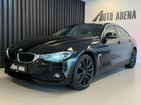 BMW 420 Sadlno - zdjęcie 3