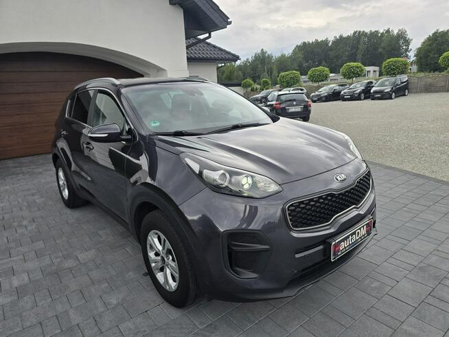 Kia Sportage Żarki - zdjęcie 2