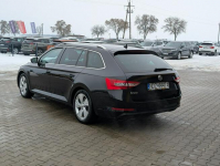 Škoda Superb Premium Edition Goworowo - zdjęcie 7