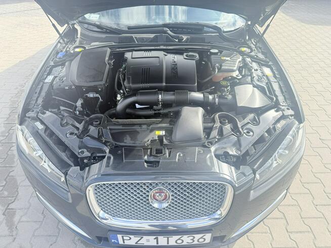 Jaguar XF Zielona Łąka - zdjęcie 11