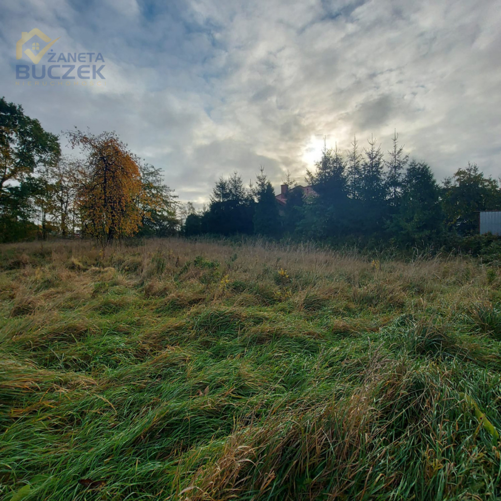 Działka budowlana Nieborów powiat łowicki Nieborów - zdjęcie 8