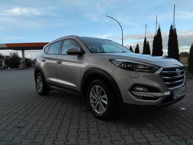 HYUNDAI Rzeszów - zdjęcie 7