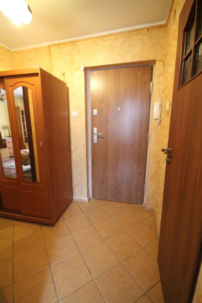 1pok, 37met, okolice Świdnickiej PIWNICA/PARKING (Wrocław) Stare Miasto - zdjęcie 7