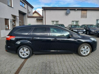 Ford Focus 1.6MPI klimatyzacja czujniki alufelgi elektryka stan BDB Gryfino - zdjęcie 7