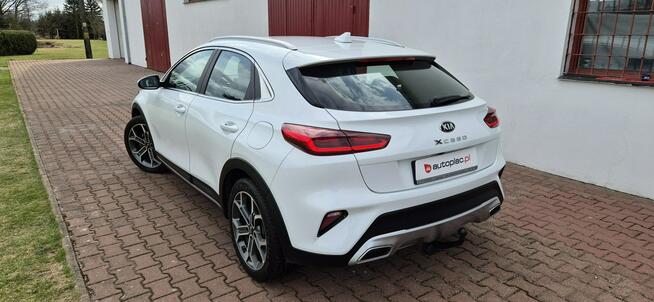 Kia XCeed KAMERA-HAK-LED-MEDIA Paproć - zdjęcie 6