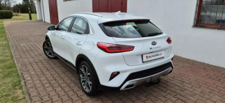 Kia XCeed KAMERA-HAK-LED-MEDIA Paproć - zdjęcie 6