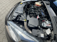 Ford Focus Salon Polska LPG Klimatronik Gliwice - zdjęcie 12
