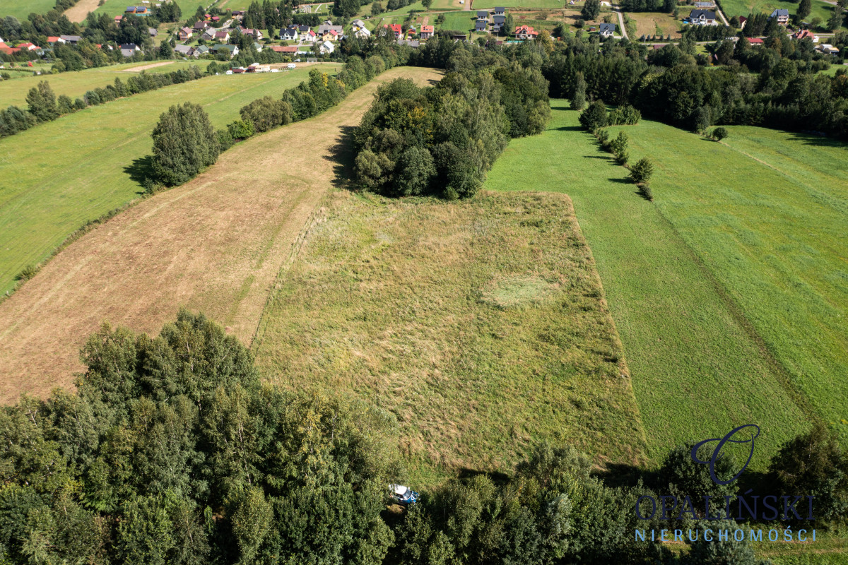 Panorama | Zacisze | Zainwestuj w Bieszczadach | Bukowiec - zdjęcie 7