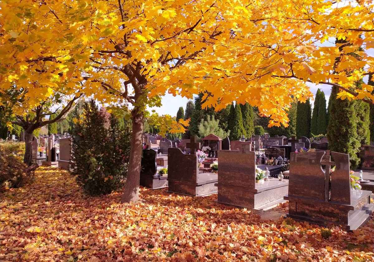 Sprzątanie grobów, największe cmentarze w Warszawie - nr 1 w Polsce Bielany - zdjęcie 2