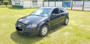 Audi a3 8P Łódź - zdjęcie 2