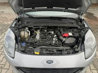 Ford Puma Zielona Łąka - zdjęcie 9
