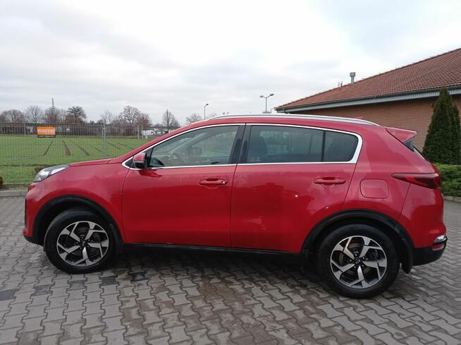 Kia Sportage Diesel, automat Buk - zdjęcie 6