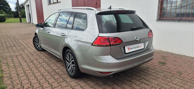 Volkswagen Golf Paproć - zdjęcie 5