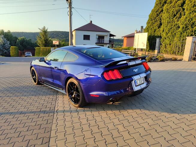 Ford Mustang serfekcyjny stan aktywny wydech Kalwaria Zebrzydowska - zdjęcie 4