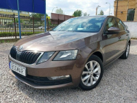 Škoda Octavia SALON PL. pierwszy wł. 100% bezwypadkowa 36 tys. km. Warszawa - zdjęcie 12