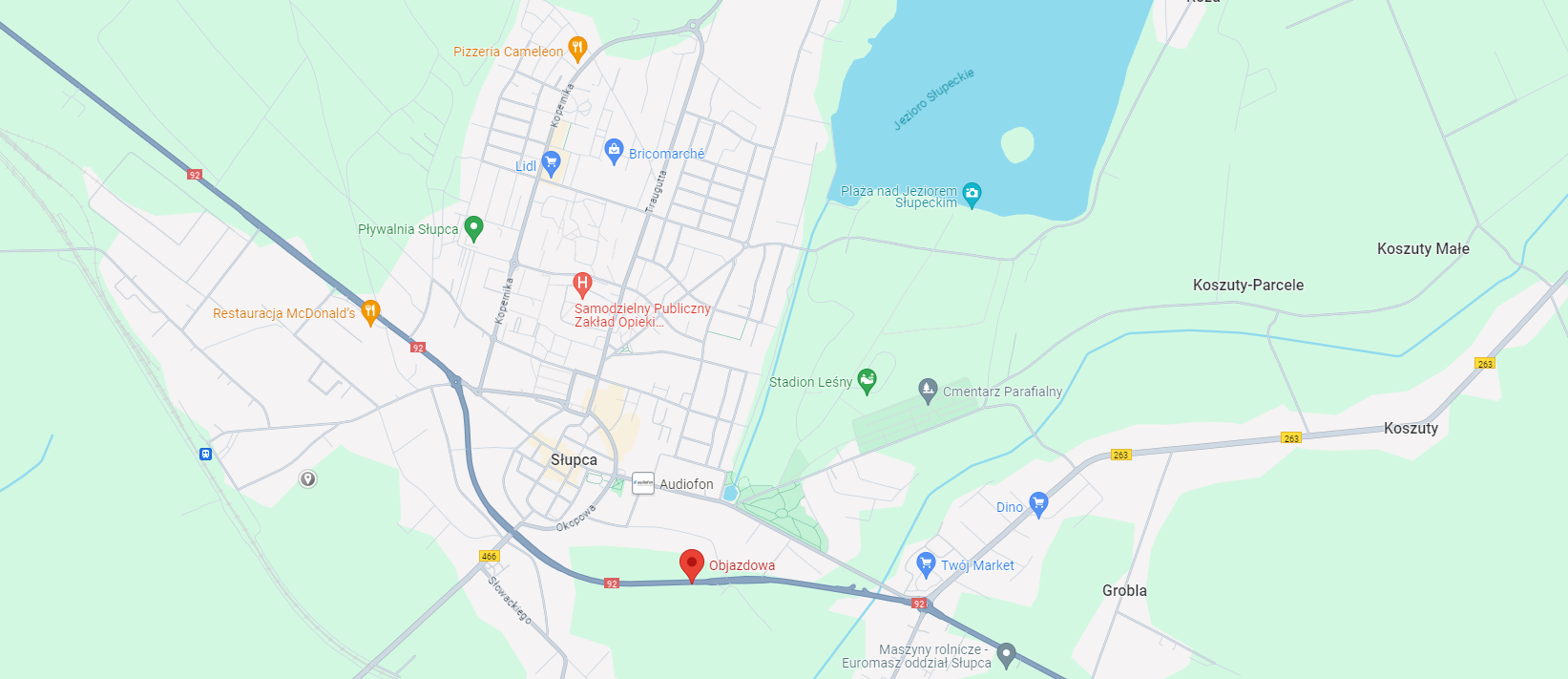 Na Sprzedaż działka rolna 4853 m2, MPZP, Słupca Słupca - zdjęcie 10