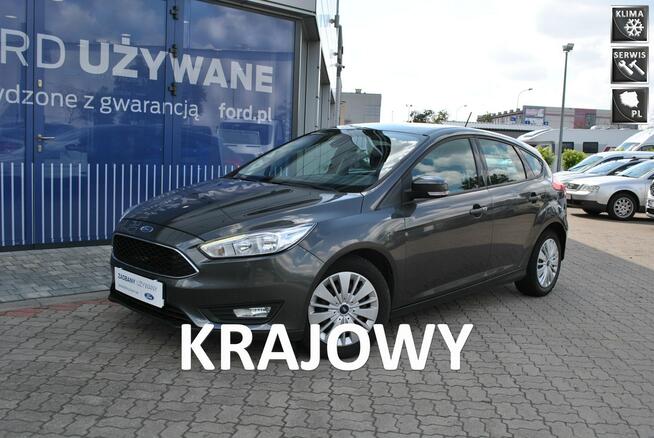 Hatchback GoldX 1,6 Benzyna 105KM ASO Forda Białystok - zdjęcie 1