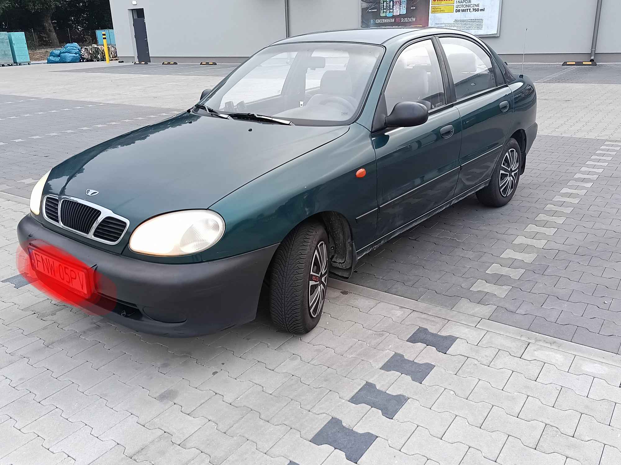 Sprzedam lanosika Kożuchów - zdjęcie 2