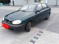 Sprzedam lanosika Kożuchów - zdjęcie 2