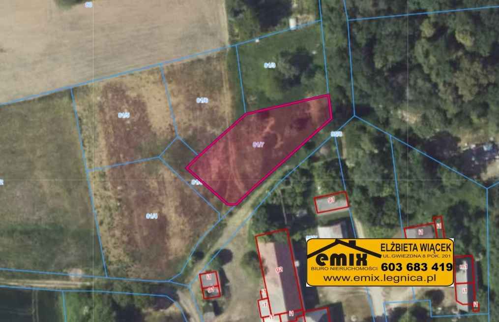 4 działki budowlane z wydanymi warunkami zabudowy, Wysocko k. Złotoryi Złotoryja - zdjęcie 6