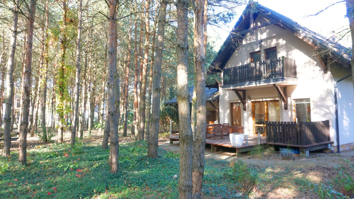 Zamieszkaj pod lasem Kalina - zdjęcie 8